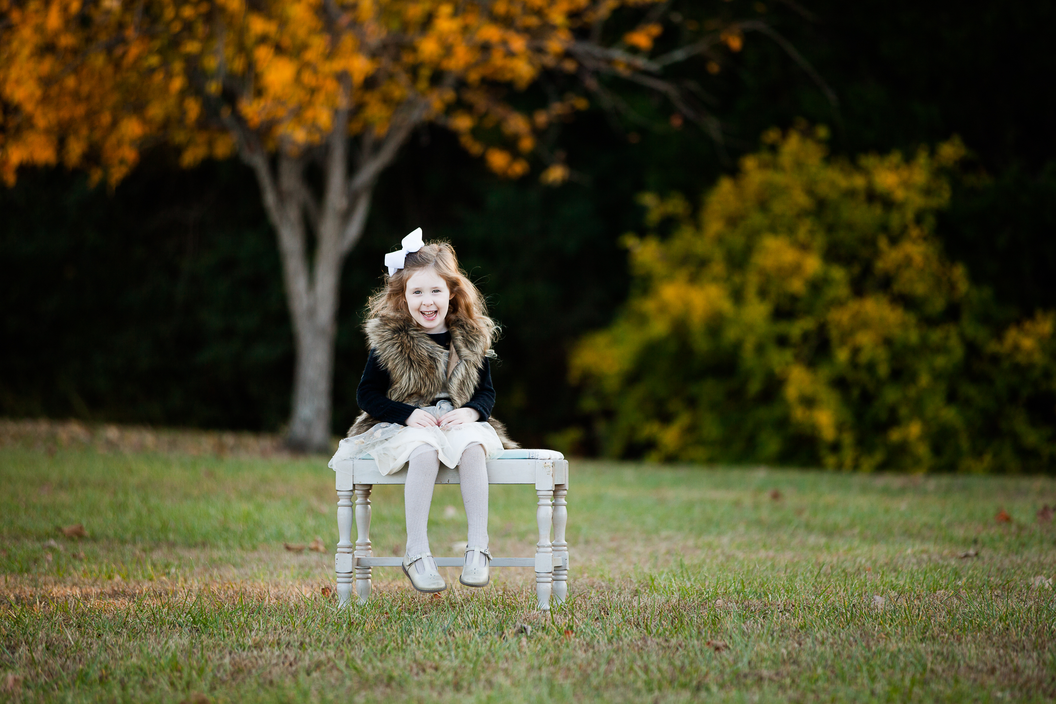 A Christmas Card Mini Session